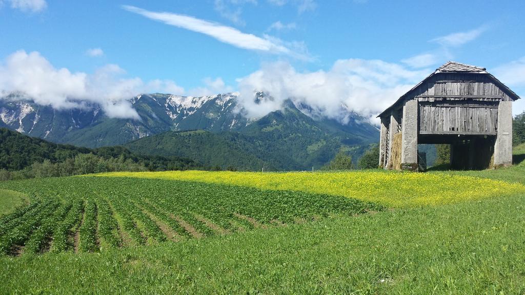 Apartmaji Pr-Gujlu Sela Nad Podmelcem 5220 Tolmin Podmelec Eksteriør billede